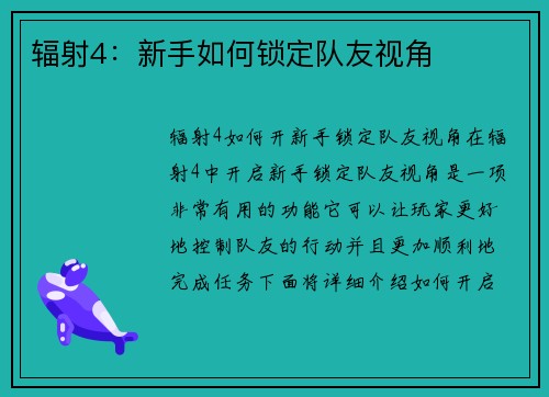 辐射4：新手如何锁定队友视角